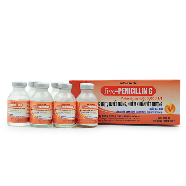 Five-Penicilin