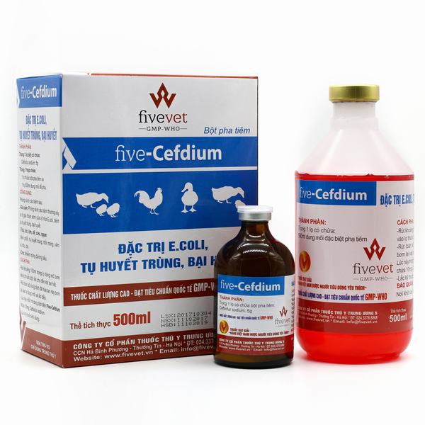 Five-Cefdium (bột pha tiêm)