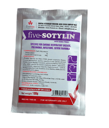 Five - Sotylin_vn