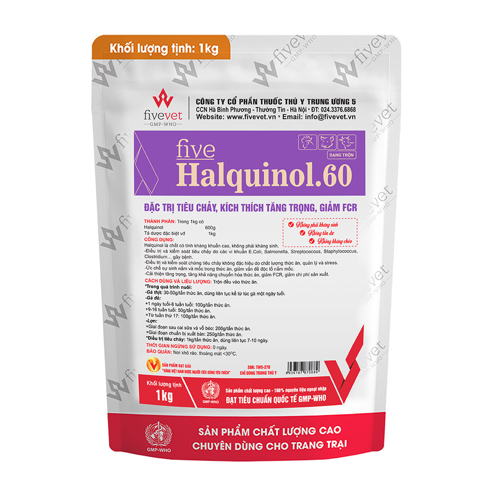 Five-Halquinol.60
