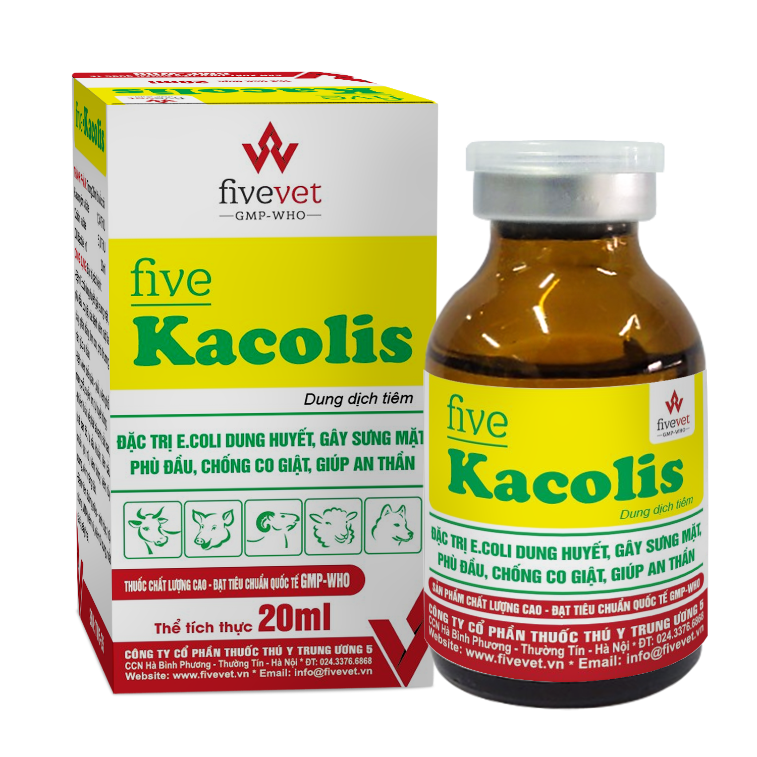 Five-Kacolis